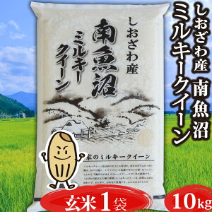 y݌Ɍ蔄sz  V 싛Y ~L[NC[   10kg 싛  10L Y VY ߘa6N V VY   uh    