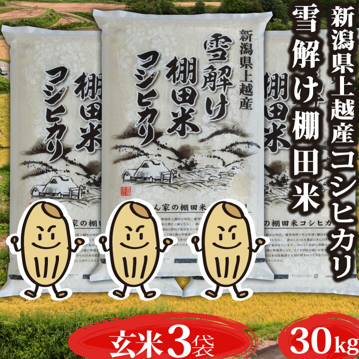 楽天市場】米 令和7年産 コシヒカリ 新潟県 安塚産 棚田米 白米 玄米 