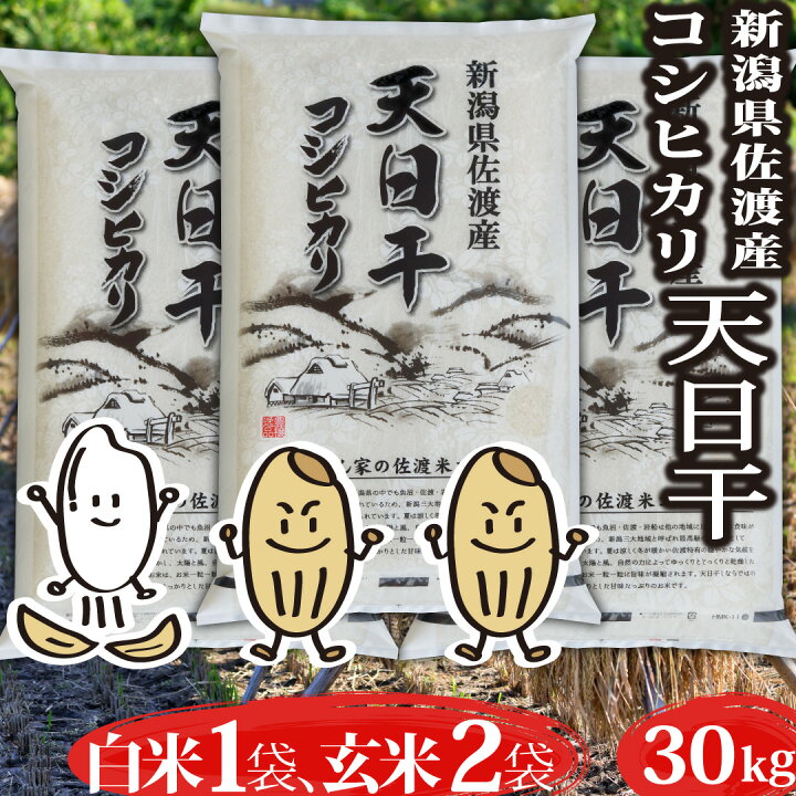 楽天市場】【最安値に挑戦】 米 令和7年産 コシヒカリ 新潟県 佐渡産 