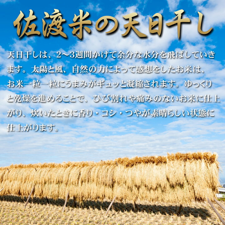 楽天市場】コシヒカリ【玄米 30kg】新潟県佐渡産 天日干しコシヒカリ 玄米 30kg 令和4年産米 精米無料 出荷当日精米 米 おこめ お米 玄米 白米 30kg こしひかり コシヒカリ 送料無料 【12時までのご注文は当日出荷】 : 農家からの贈り物 楽天市場店 楽天市場】コシヒカリ【玄米 30kg】新潟県佐渡産 天日干しコシヒカリ 玄米 30kg 令和4年産米 精米無料 出荷当日精米 米 おこめ お米 玄米 白米 30kg こしひかり コシヒカリ 送料無料 【12時までのご注文は当日出荷】 : 農家からの贈り物 楽天市場店