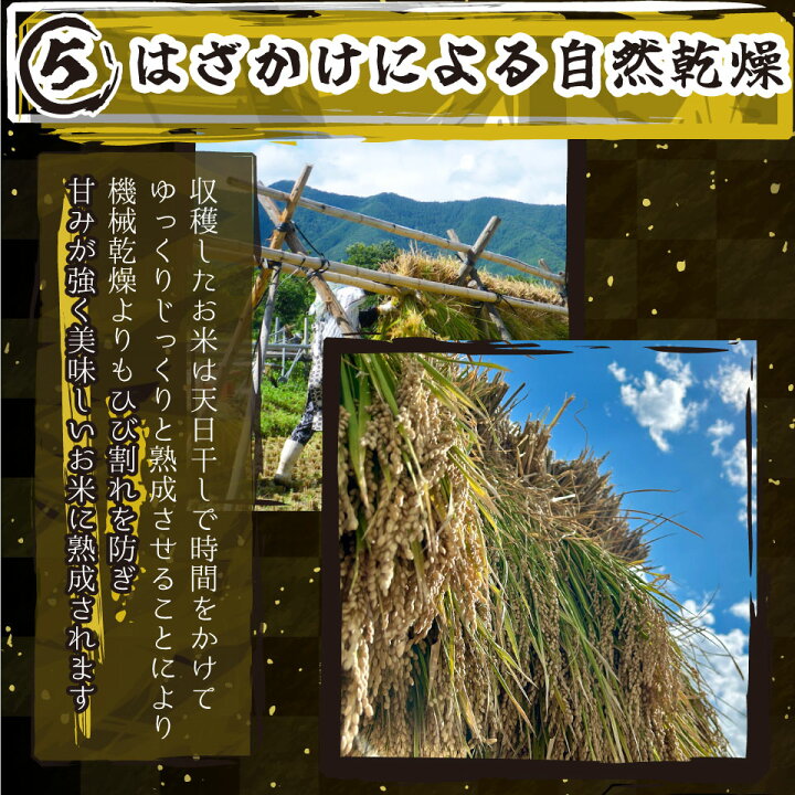 楽天市場】米 令和7年産 コシヒカリ 極み 新潟県 南魚沼産 30kg 白米 