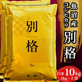 米 10kg 令和5年産 コシヒカリ 別格 新潟県 魚沼産 お米 白米 10キロ 令和5年 魚沼産コシヒカリ 新潟県産コシヒカリ こしひかり 有機栽培 農薬節減 天日干し 魚沼 新潟県魚沼産 棚田米 精米 有機 ブランド おこめ こめ お試し ギフト プレゼント 内祝い 贈り物 送料無料