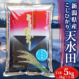 米　お米 5kg 令和6年産 コシヒカリ 新潟県産 天水田 棚田米 お米 白米 5キロ 令和6年 新潟県産コシヒカリ 令和6年産コシヒカリ こしひかり 新潟 新潟産 精米 ブランド おこめ こめ お試し ギフト プレゼント 内祝い 贈り物 プチギフト 一人暮らし 送料無料