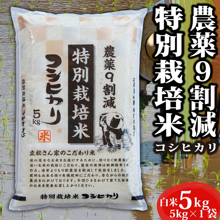 楽天市場】【入荷待ち】米 お米 令和6年 特別栽培米 5kg コシヒカリ  