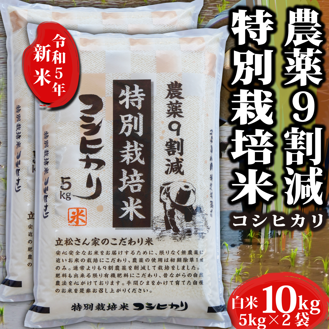 新潟魚沼産コシヒカリ （5割減減栽培）10kg 令和5年産 - 米・雑穀・粉類