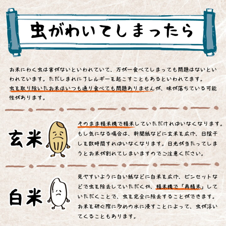 楽天市場】米 令和7年 コシヒカリ 新潟県 南魚沼産 魚沼産コシヒカリ 