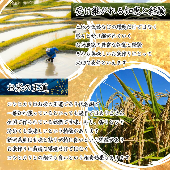 楽天市場】【最安値に挑戦】 米 令和7年産 コシヒカリ 新潟県 佐渡産 