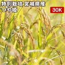 【減農薬 特別栽培米 農薬5割減 化学肥料5割減】米 30kg 一等米 つや姫 宮城県産 玄米(5kg×真空パック6袋)令和7年産 送料無料 精米無料 真空パック無料【7種類から選べる精米】真空パック(特許取得済み)で3〜5年の長期保存が可能