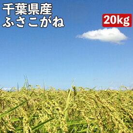 【令和7年産 新米】米 20kg 一等米 ふさこがね 千葉県産 玄米 (5kg×真空パック4袋)令和7年産 送料無料 精米無料 真空パック無料 7種類から選べる精米 備蓄 ストック に最適な真空パック(特許取得済み)で常温で3〜5年の長期保存が可能 米 白米 20キロ 備蓄 米 5 年 保存