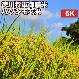 【20％OFFクーポン発行中】【減農薬】米 5kg 一等米 輪之内町 徳川将軍家御膳米 ハツシモ 玄米 (5kg×真空パック1袋) 令和5年産【送料無料 精米無料 真空パック無料】【7種から選べる無料精米】米の備蓄に最適な真空パックなので長期保存が可能です