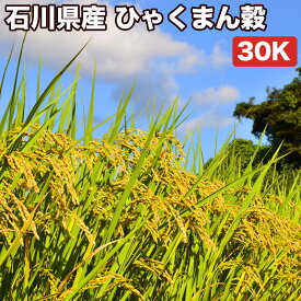 【10％OFFクーポン発行中】米 30kg 一等米 ひゃくまん穀 石川県産 玄米 (5kg×真空パック6袋) 令和5年産【送料無料 精米無料 真空パック無料】【7種類から選べる精米】備蓄に最適な真空パック(特許取得済み)で3年〜5年の長期保存が可能 非常食 常備米