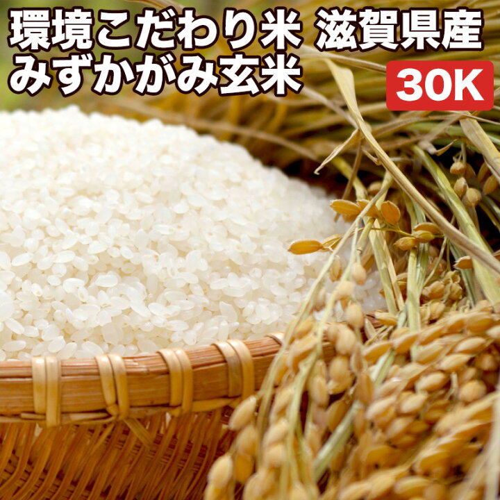 楽天市場】【減農薬 環境こだわり米】米 30kg 一等米 みずかがみ 滋賀 