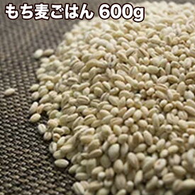 もち麦ごはん 600g（50g×12袋 ）天然の食物繊維 玄米の4倍！