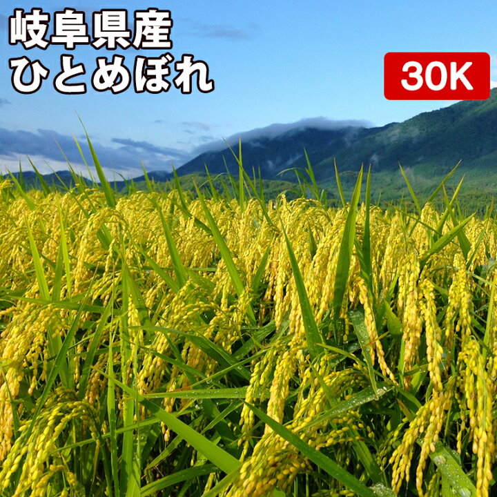楽天市場】岐阜県産 ひとめぼれ 玄米 30kg（5kg×6袋）令和5年産【送料 