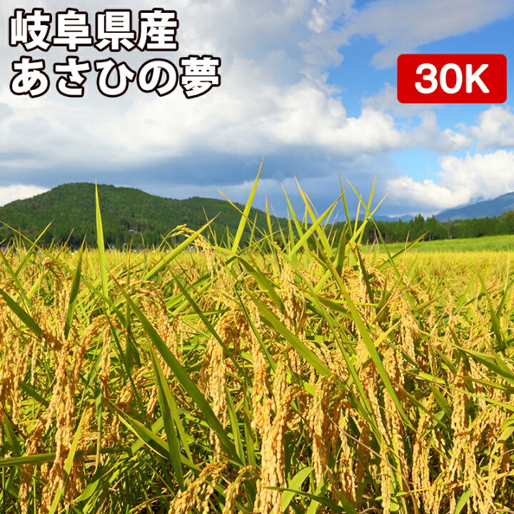 楽天市場】岐阜県産 あさひの夢 玄米 30kg（5kg×6袋）令和4年産【送料 