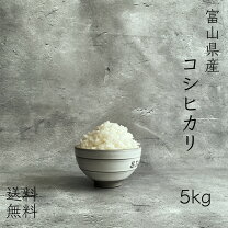 楽天市場】富山県産 コシヒカリ 玄米 30kgの通販