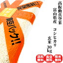 【高振動真空米】コシヒカリ 富山県産 玄米 30kg （5kg×真空パック6袋）令和7年産 一等米【送料無料 精米無料 真空パック無料】【7種類から選べる精米】米の備蓄に最適な真空パック(特許取得済み)で3年〜5年の長期保存が可能 保存食 備蓄 米 5年 白米 米 30キロ