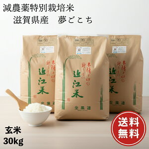 yߘa7NY Vāzy_ ʍ͔| _5 w엿5z 30kg ꓙ  ꌧY  Δ ߘa7NY 7ނIׂ鐸āy ĖzGR 