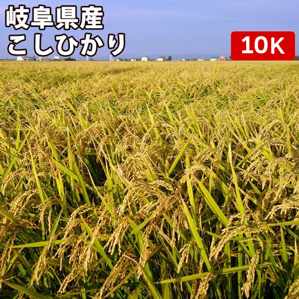 種 米 10kg - 玄米の人気商品・通販・価格比較 - 価格.com