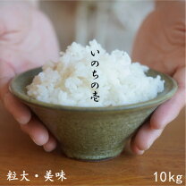 楽天市場】いのちの壱 10kgの通販