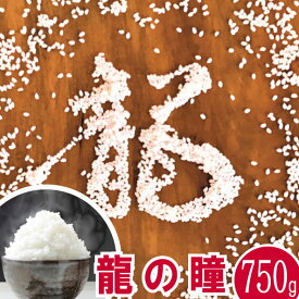 龍の瞳 令和5年産 750g【送料無料】岐阜県下呂発祥 いのちの壱【認定特約店】お米 龍の瞳 お試し