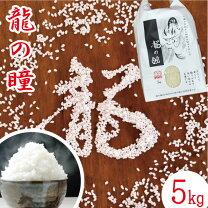 楽天市場】いのちの壱 送料無料の通販