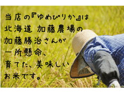 北海道産ゆめぴりか28年産/新米1等米特A【送料無料】白米10kg(5kg×2個)【あす楽】【お歳暮】【贈答】北海道産No.1ランキング【あす楽_土曜営業】【RCP】【楽ギフ_包装】【楽ギフ_のし宛書】【あす楽_point】【HLS_DU】P06Dec14