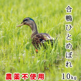 あいがも 農法 送料無料 特別栽培米 令和5年産 宮城県産 ひとめぼれ 無農薬 米 10kg ( 5kgX2個 ) 玄米 白米 安心 安全 お中元 お歳暮 ギフト アイガモ/米/有機肥料/栽培期間中農薬不使用 ギフト