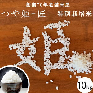 宮城県産 つや姫の人気商品 通販 価格比較 価格 Com