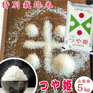R`Y P ߘa6NYyK戵Xzyʍ͔|āzyz5kg A/ꓙāyyz Ε  R`YNo.1 LO }}