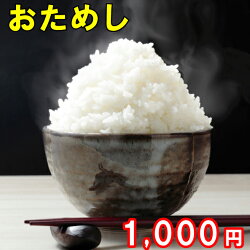 お試し