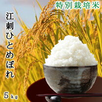 楽天市場】江刺特別栽培米ひとめぼれ]の通販 