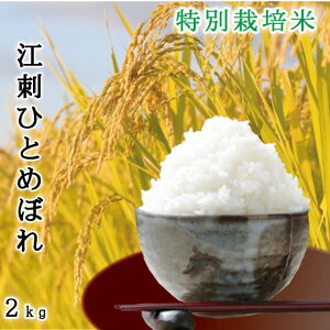 ]hЂƂ߂ڂ ʍ͔| ߘa6NY 茧Y _ 2kg yyzS S/Ε///L@엿/͔|Ԓw엿sgp hV̓ Mtg