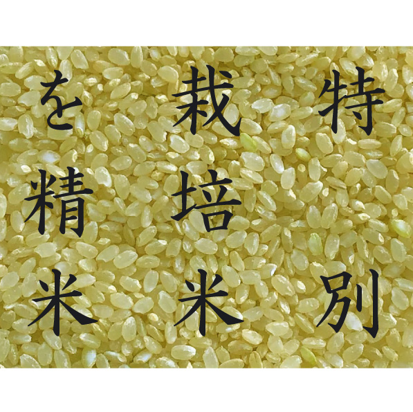 楽天市場】米ぬか 米糠 5kg 特別栽培米を精米 肥料 ぬか床 食べる 健康