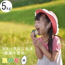 無農薬 米 玄米 令和6年産 富山県産 コシヒカリ 5kg 特別栽培米 分つき精米 玄米 〜 白米 送料無料 安心 安全 菜の花米【お歳暮】【お中元】有機肥料 栽培期間中農薬不使用 ママ割 お米