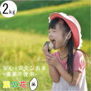 無農薬 米 玄米 令和6年産 富山県産 コシヒカリ 2kg 特別栽培米 分つき精米 玄米 〜 白米 送料無料 安心 安全 菜の花米【お歳暮】【お中元】有機肥料 栽培期間中農薬不使用 ママ割 お米
