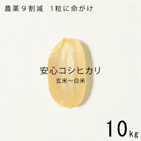 新米 数量限定 農薬9割減 米 玄米 令和7年産 富山県産 コシヒカリ 10kg（5kg x 2個） 特別栽培米 分つき精米 10キロ 玄米 〜 白米 送料無料 安心 安全 【お歳暮】【お中元】有機肥料 お米 こしひかり 減農薬