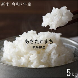 数量限定 令和7年産 あきたこまち 5kg 愛知県 米 白米 送料無料 【お歳暮】【お中元】お米