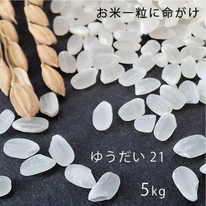 V 䂤21 VY ߘa7NY 5kg 5Lyz Ε Mtg     