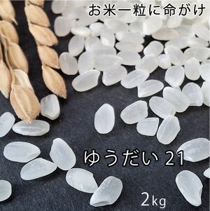 V 䂤21 VY ߘa7NY 2kg 2Lyz Ε Mtg      ~Mtg