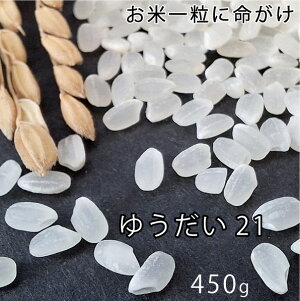 V TCY 䂤21 VY ߘa7NY 450gyz    