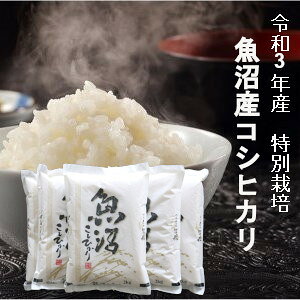 お米 10kgの通販 価格比較 価格 Com