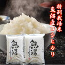 【予約】令和7年産 新米 魚沼産コシヒカリ 4kg 新潟米 コシヒカリ 新潟コシヒカリ 新潟県魚沼産コシヒカリ 魚沼産こしひかり 米 精米 こしひかり 新潟県産 新潟産 新潟 魚沼 特別栽培米 お米 2キロ×2袋 米 白米 コメ おこめ 引っ越し 挨拶 内祝い お祝い ギフト 贈答用