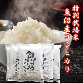 令和7年産 新米 魚沼産コシヒカリ 2キロ 5袋 10kg 新潟県産 新潟産 新潟 魚沼 魚沼こしひかり こしひかり 魚沼 白米 10キロ お米 新潟米 美味しい 米 こめ コメ のし対応 内祝い お祝い お返し 引越し 挨拶 ギフト 贈答用 贈答 米 仕送り