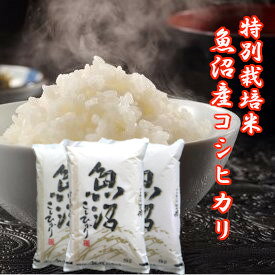 令和7年産 新米 15kg 魚沼コシヒカリ 特別栽培米 コシヒカリ 新潟産コシヒカリ 魚沼産 コシヒカリ 新潟県産 コシヒカリ 魚沼産こしひかり コシヒカリ 新潟こしひかり 15キロ のし対応 内祝い お祝い 引越し 出産 挨拶 贈答用 ギフト米 おいしい お米