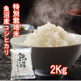 贈答用 お米 2kg 令和5年産 魚沼産 コシヒカリ 米 2kg 魚沼産コシヒカリ 新潟県産 魚沼産 こしひかり 魚沼 コシヒカリ 新潟こしひかり 新潟産 美味しい 白米 こめ コメ のし対応 内祝い お祝い 出産祝い お返し 挨拶 ギフト 贈り物