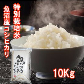 令和7年産 新米 魚沼産コシヒカリ 10kg 魚沼 贈答用 米 こしひかり 新潟産コシヒカリ 10kg コシヒカリ 新潟県産 魚沼産こしひかり お米新潟産 魚沼産 特別栽培米 送料無料 10キロ のし対応 お祝い ギフト 贈答 美味しい