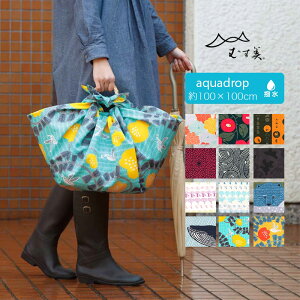 y0̂ 24h XSi10OFFzC~ ANAhbv H O ނ GRobO AEghA ӂ낵 100cm AQUA-DROP