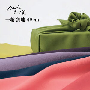 y}\ X^[g4h Xő70OFF 10OFFzC~ n z 48cm  J[    sN F   ގ ߂ k ނ 46-10183