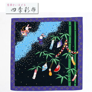 yubNtCf[ XSi10OFFzC~ [ 7  lGʕz 77  e Z V̐ 50×50cm MSF-007